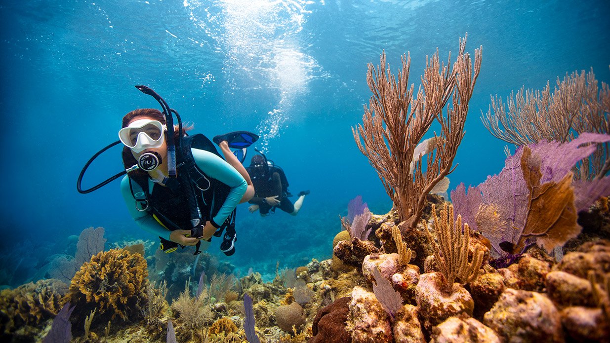 SCUBA – 3 Dives in 1 Day at Amed